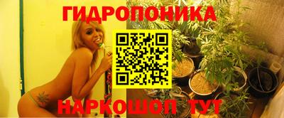 гидропоника Свободный