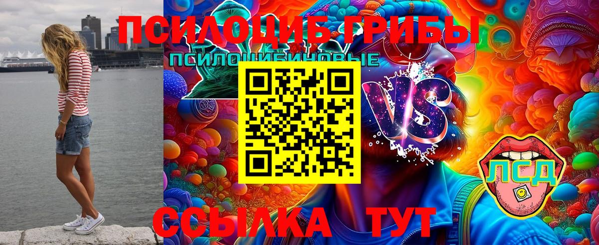 закладки  Вход с VPN  Таганрог  Галлюциногенные грибы прущие грибы 