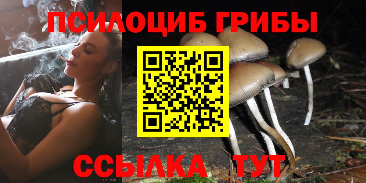 Псилоцибиновые грибы мицелий Таганрог